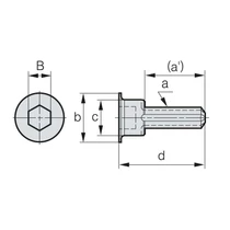 CBP063-IN/MM Hűtő csavar