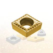 CCMT 060204 FP NC9125 esztergalapka