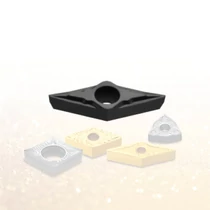 VBGT 110301 FS PC8110 esztergalapka