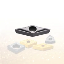 VBGT 110302 FS PC5300 esztergalapka