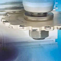 Freze disc