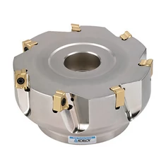 LN☐☐ PNR lapkás