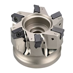 LN☐☐ PNL lapkás