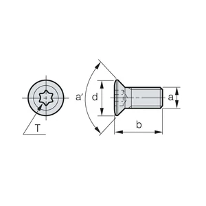 FTGA0411F Csavar
