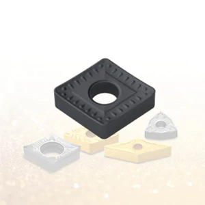 CNMM 190612 GH NC3120 esztergalapka