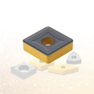 CNMM 190624 VH NC3215 esztergalapka