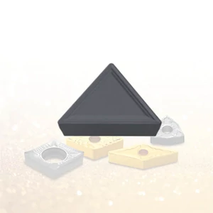 TPMR 160304 F PC8110 esztergalapka