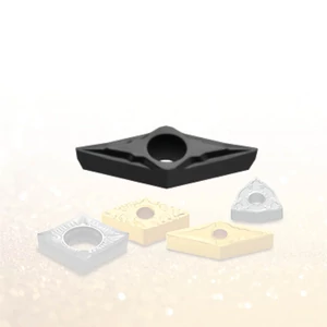 VBGT 110301 FS PC8110 esztergalapka