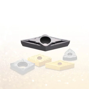 VBGT 110302 FS PC5300 esztergalapka