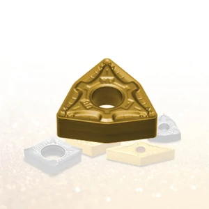 WNMG 080408 MP NC9135 esztergalapka